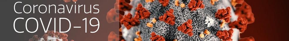 Coronavirus COVID-19